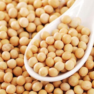 1kg Đậu nành nhập khẩu canada, Đại lý gạo Bà Tám