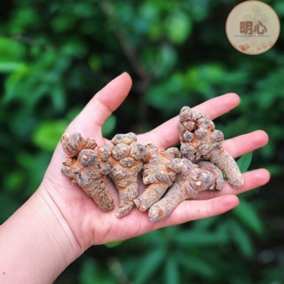 Tam thất bắc loại 52 củ/kg sạch, tròn chắc.