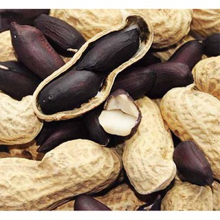 Hạt giống Lạc đen 15gr