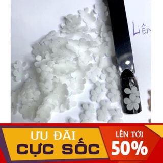 Hoa mai kép dán móng - Hoa bột nail