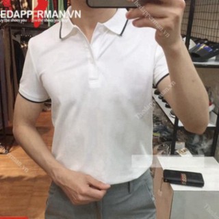 Áo polo nam vải cá sấu chất cotton - màu trắng vip