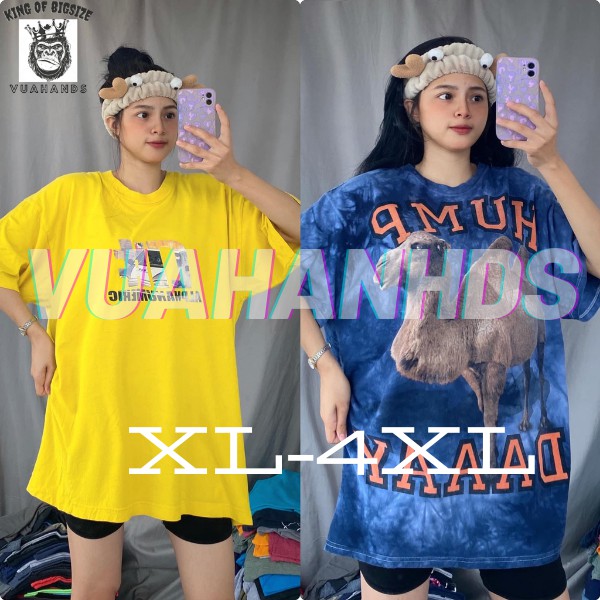 áo thun 2hand mỹ L1 BIGSIZE 2xs-5XL [80-90%] áo thun mỹ  ,siêu phẩm áo ngoại cỡ, giao hàng ngẫu nhiên | BigBuy360 - bigbuy360.vn