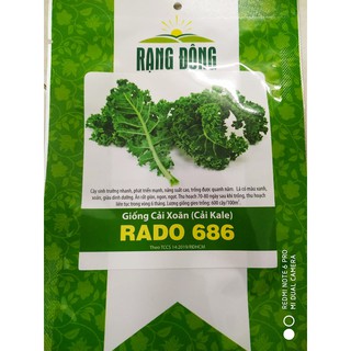 Hạt giống Cải Kale ( Cải xoăn ) 5gr ❤️FREESHIP EXTRA❤️