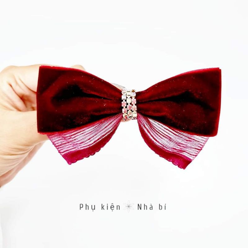 Cột tóc nơ Nhà bí