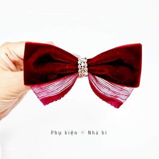 Cột tóc nơ Nhà bí