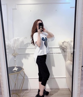 [Xả hàng] Set áo giấy mickey + quần bomber