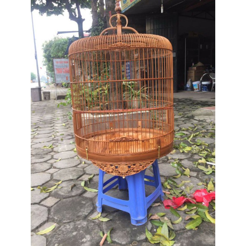 Choè lửa..
