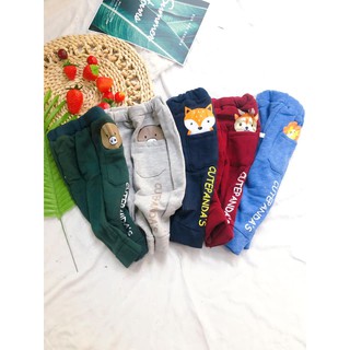 Combo 20 quần nỉ hình thú có túi