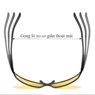 Mắt kính phân cực đi đêm A514 - ROBEO