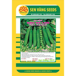 Gói 20gr hạt giống đậu hà lan giàu dinh dưỡng dễ trồng
