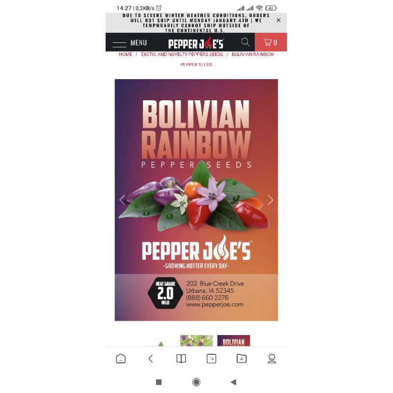 hạt ớt cầu vồng ( rainbow pepper)