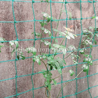 Lưới giàn leo ,lưới giàn cây( size 6x2m mắt 20x20cm sợi to)