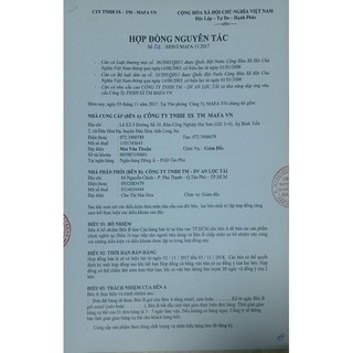 Kính Mặt Nạ ROYAL