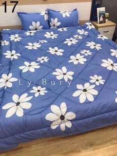 Set chăn ga goi