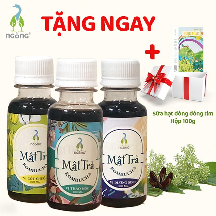 Bộ 3 Mật Trà Kombucha 100ml