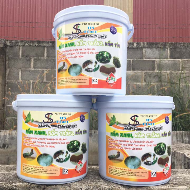 2Kg BTMET: NẤM 3 MÀU Trừ Sâu Rầy Rệp Sáp, Sùng Đất Sinh Học , Không Cần Cách Ly Bột Hòa Tan