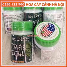 Keo Liền Da Cây Tree Seal – keo Liền Sẹo Mỹ 100g