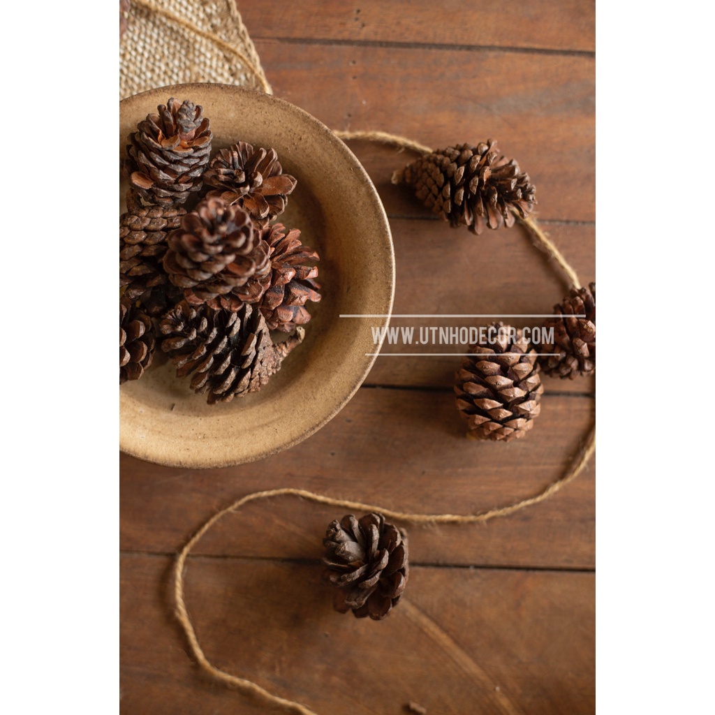 Set trái thông trang trí NOEL Giáng Sinh nhiều kích cỡ