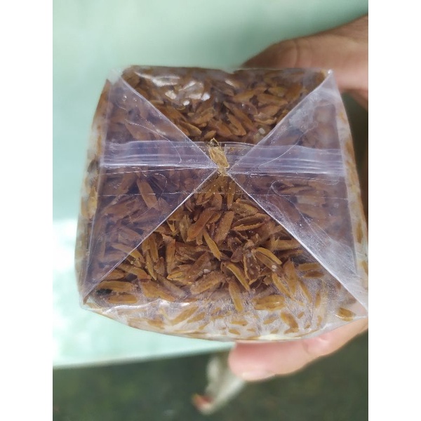 1 kg Túi, bịch làm meo nấm rơm dán keo đáy