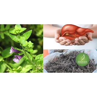 Nhân trần (gói 1kg) - VTT047