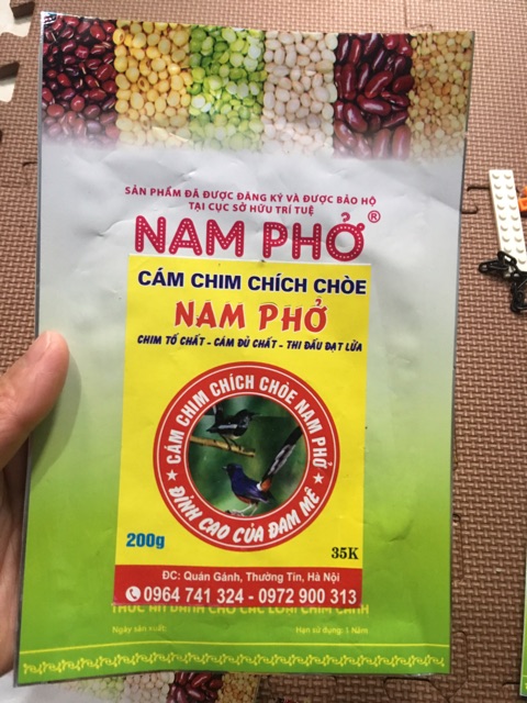 Cám Chim Chích Choè Nam Phở