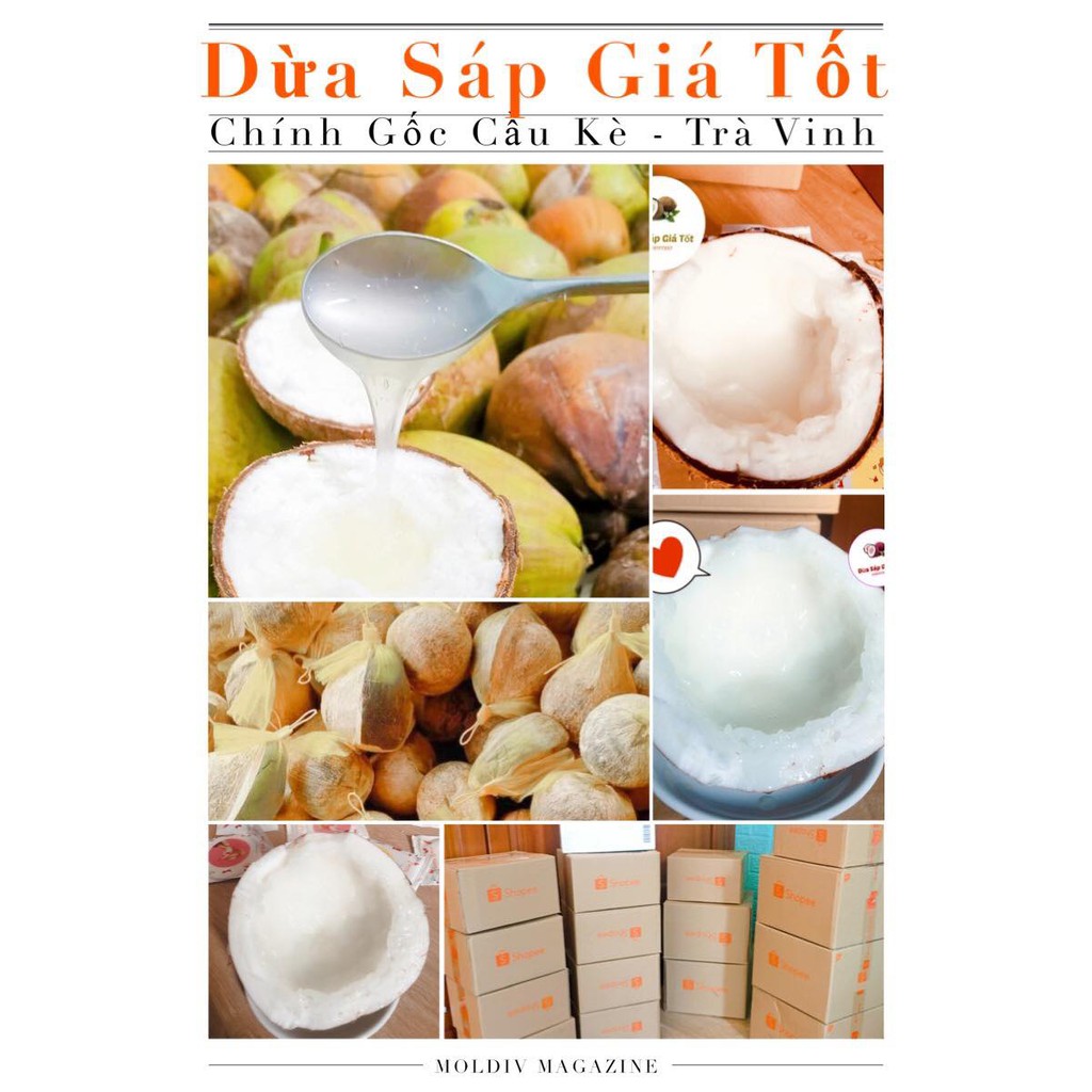 Dừa Sáp Trà Vinh 🌴 🌴  - Deal Hot Tháng 9 🔥 🔥