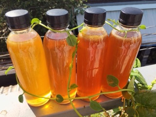 [M.NƯỚC.640101] • NƯỚC CỐT TẮC ĐƯỜNG PHÈN MẬT ONG 🐝 (SIRO TẮC) _ CHAI 400GR