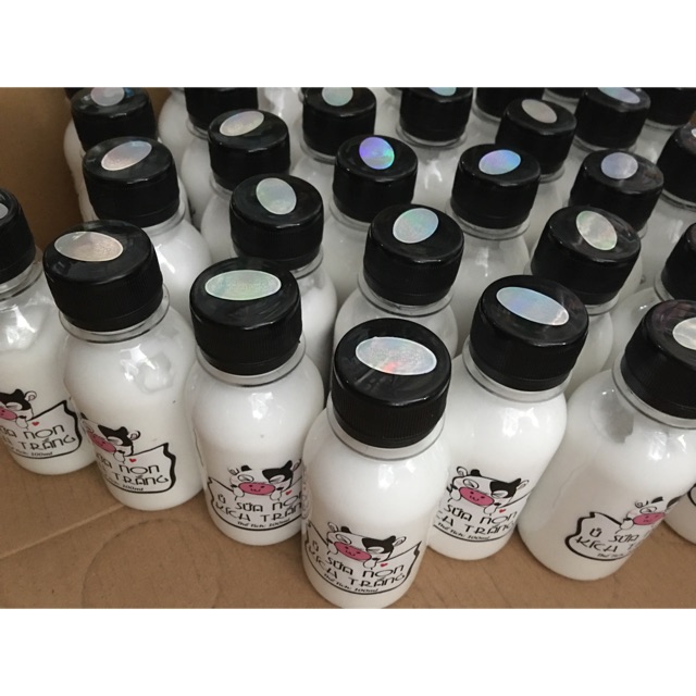 50 chai Sửa bò ủ 100ml