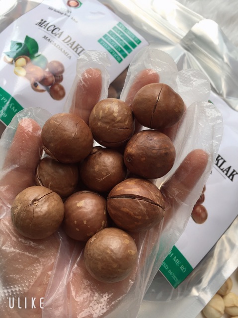 500GRAM HẠT MACCA DAKLAK SẤY NỨT VỎ | BigBuy360 - bigbuy360.vn