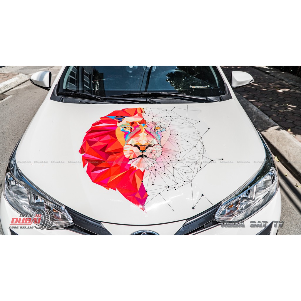 Tem Sườn Và Capo Xe Vios 0003