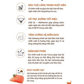 [400g] Hạt Cho Mèo Con (Kitten) Catsrang Thanh Lý Cận DATE T12/2024