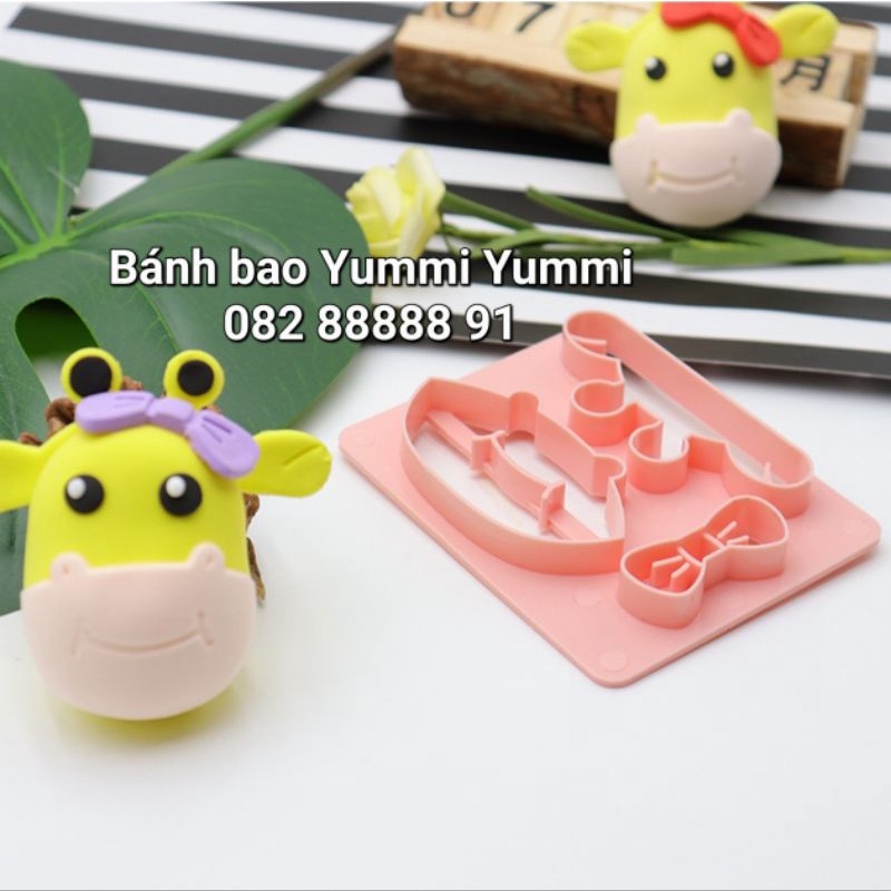 Tổng hợp khuôn nhựa làm bánh bao / fondant tạo hình
