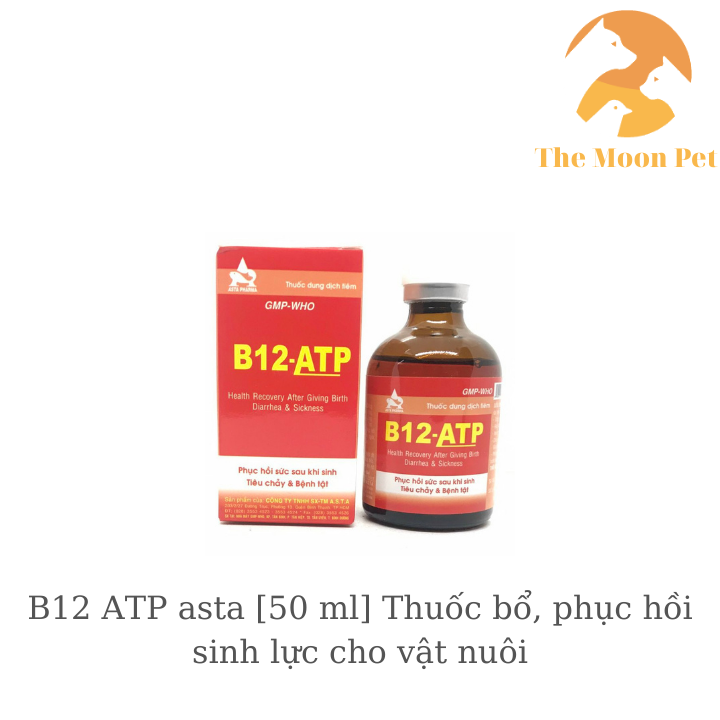 B12 ATP asta [50 ml] Thuốc bổ, phục hồi sinh lực cho vật nuôi