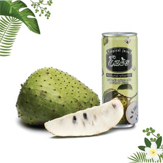 Nước Ép Chanh Dây Ezos 240ml thùng 30 lon