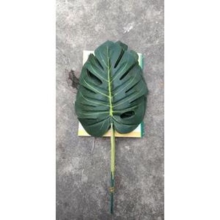 Cành lá rùa trang trí size 20x25 cm