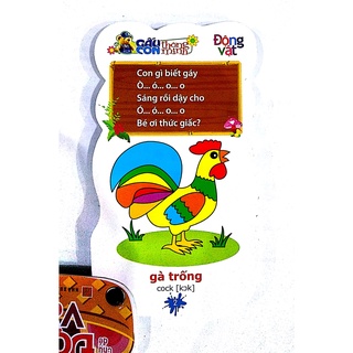 Sách - Gấu Con Thông Minh (NHIỀU CHỦ ĐỀ)