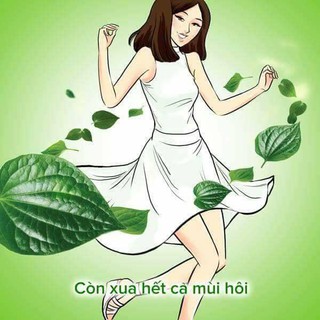 NƯỚC CẤT LÁ TRẦU KHÔNG – 100 ML
