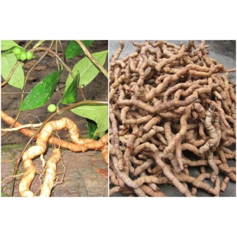 ĐẶC SẢN | Ba Kích | Ba Kích Tím | Gói 500gram | Hàng Mới
