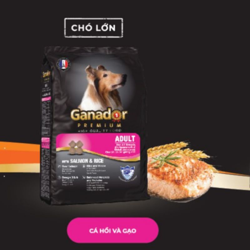 [ GIAO HỎA TỐC ] Gói 400gr Thức ăn cho chó trưởng thành Ganador vị cá hồi và gạo