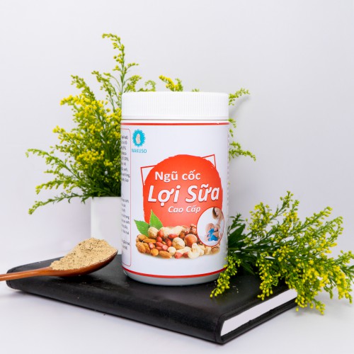 Ngũ Cốc Lợi Sữa Hiệu Quả Cho Mẹ Sau Sinh - Sữa Hạt Cao Cấp 25 Loại Hạt (500Gr)