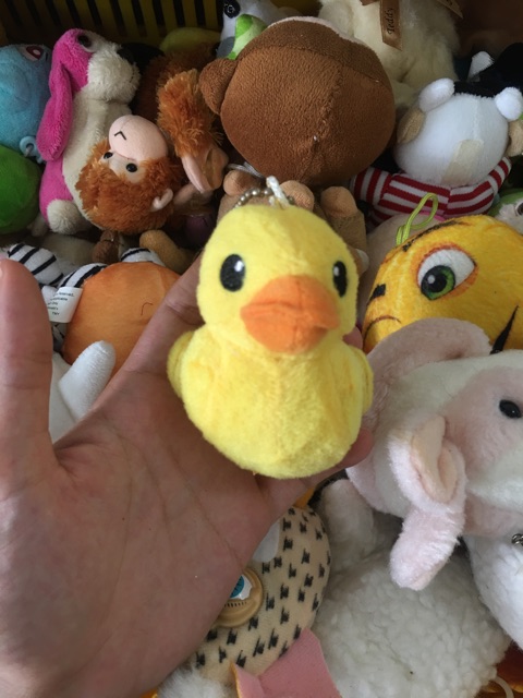 Gấu bông mini nhỏ xinh 5-7cm