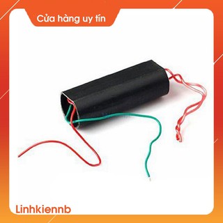 Module Tăng Áp 20KV TA2418 (Máy Đánh Lửa)