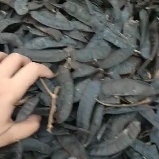 Combo túi lọc bồ kết và túi tắm cho bé