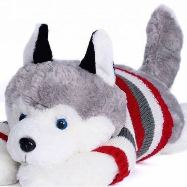 Chó husky nhồi bông áo len nằm cao cấp 1m chó sói alaska áo len loại đẹp