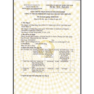 Kẹo mầm lúa mạch Gold- thảo mộc 37 ( chính hãng)