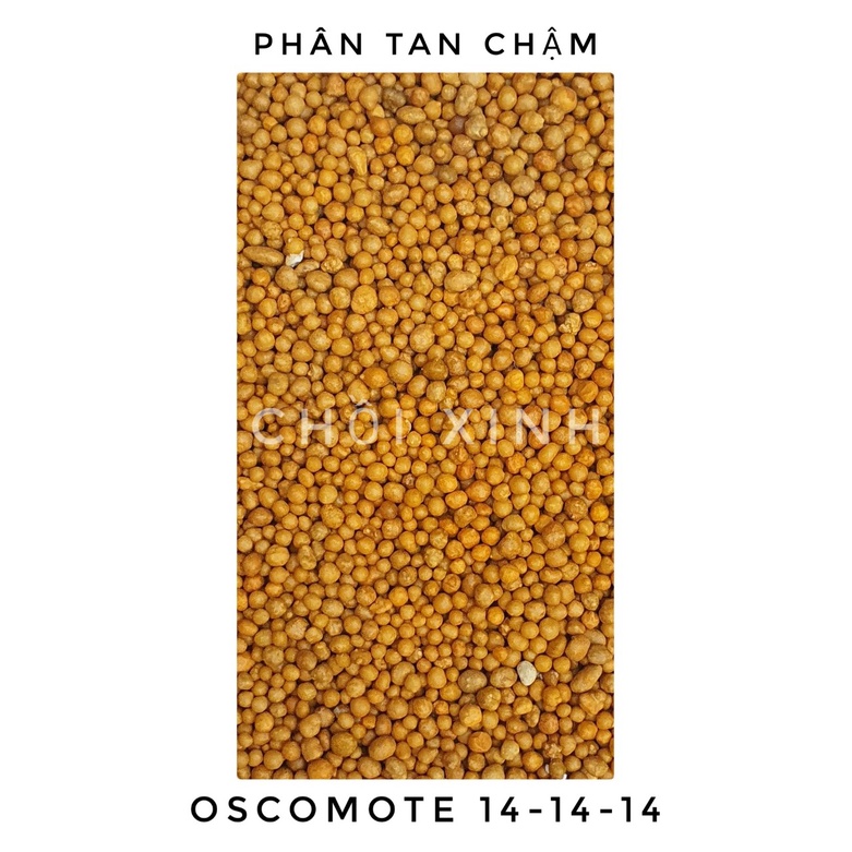 50g/100g/200g Phân tan chậm NPK 14 14 14 Osmocote Mỹ