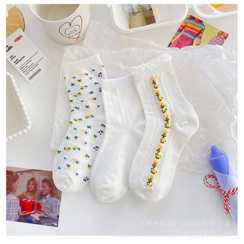 Sẵn - Set 6 đôi vớ cotton co giãn đủ màu