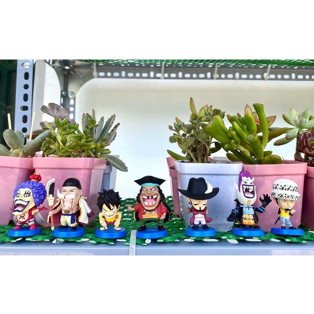 Plex One Piece Râu đen,trắng,Luffy,Emporio ivankov,Mihawk,law,Gekko moria