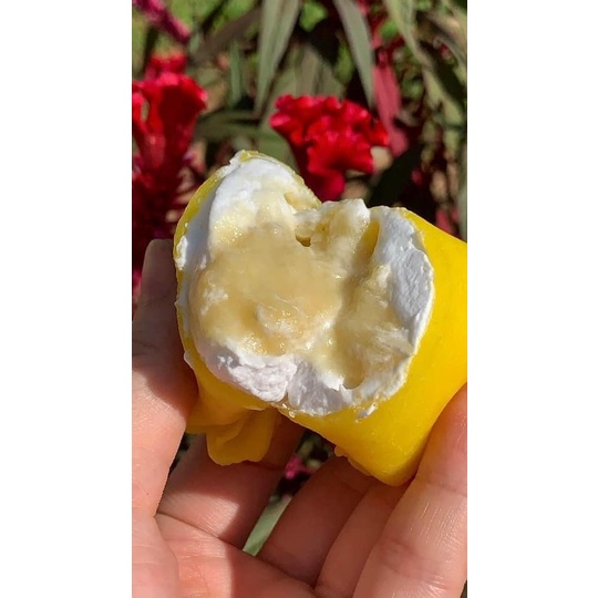 Bánh crepe sầu riêng - Bánh crep sầu thơm ngon hộp 5 chiếc