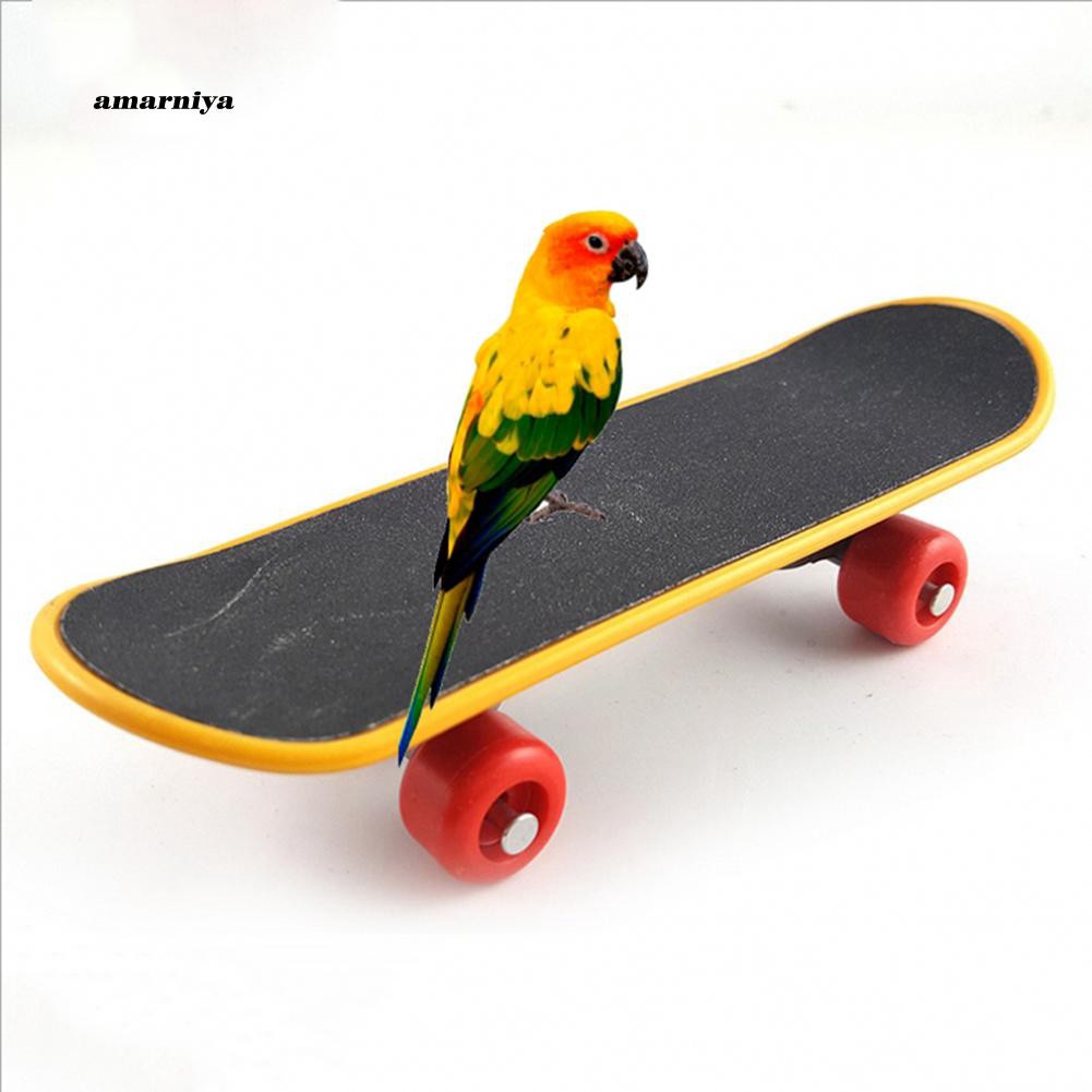 Ván trượt mini siêu bền dành cho vẹt